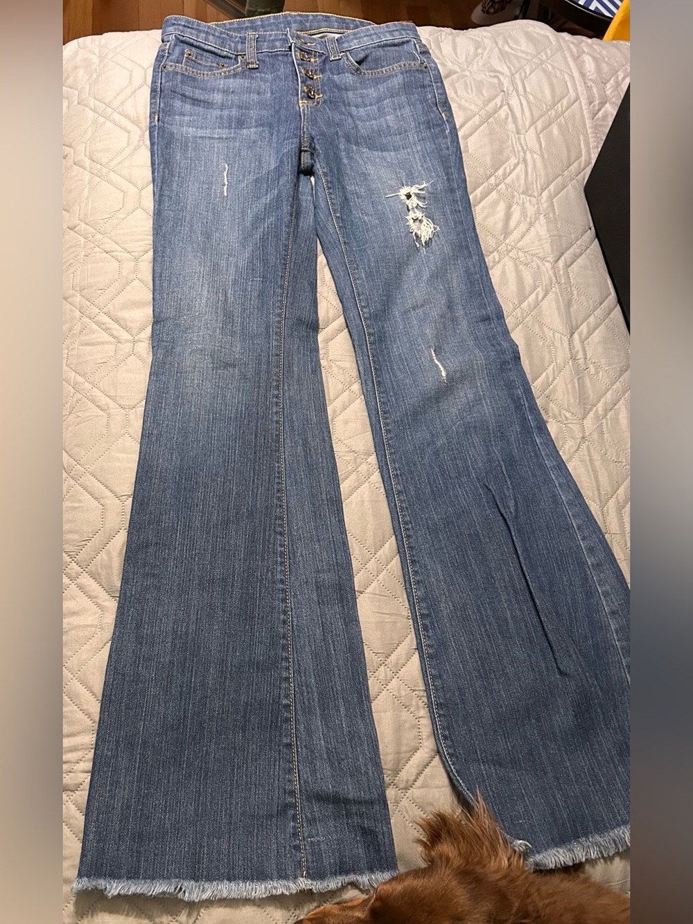 Carmar Medium Blue Distressed Wide Leg Jeans, Size 27 Long